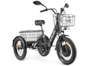 Трицикл GREEN CITY e-ALFA Trike