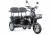Трицикл Rutrike Караван
